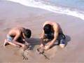 Fujairah trip with kids