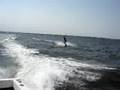 Wakeboarding in Lavalette