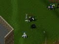 Chasing VIP From our Guildhouse