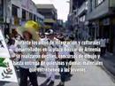 Adultos a rechazan trabajo infantil