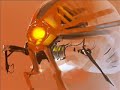 Insect Robot