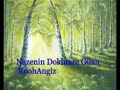 nazanin dokhtare gilan???? ?????roohangiz ??? ?????