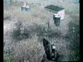 videos de cod4 dancing hardcore 1