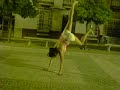 capoeira  cacike vs wailabe 