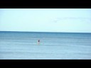 Debi the paddleboarder