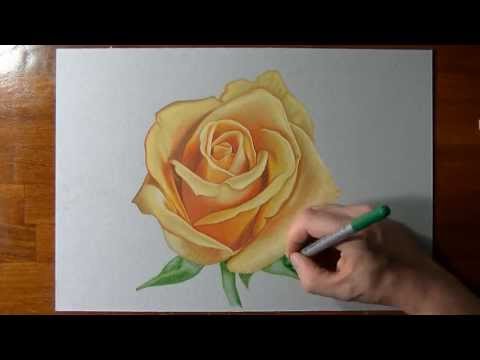 how to draw yellow roses