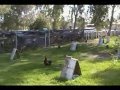 G. finos de sacramento ca part 3 Video