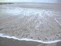 submitted by Arienne on Tue Mar 22 2011 at 01:17pm