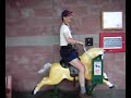 Bally Bronco horse ride Bally Bronco horse ride