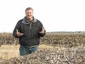 U of M biofuel research moves forward
