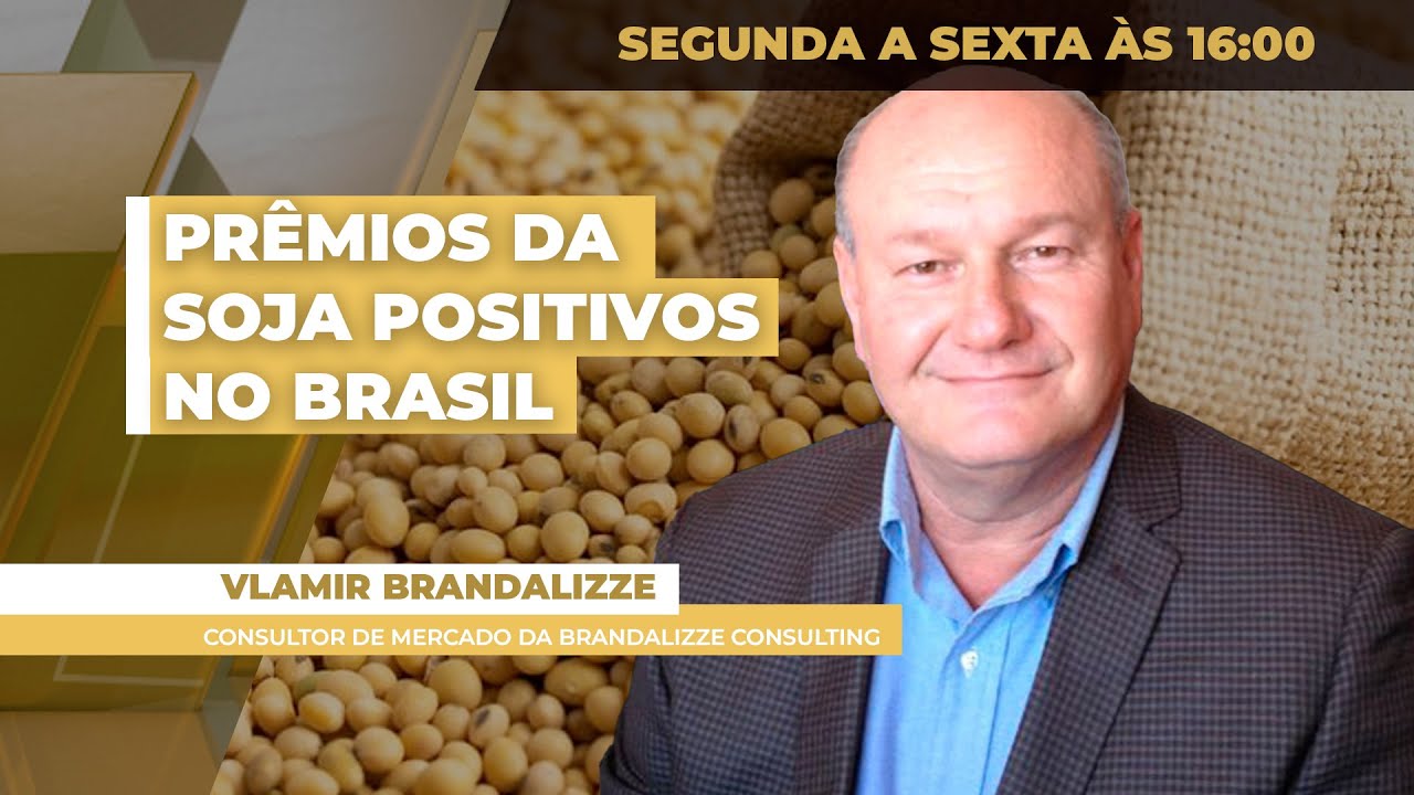 Mercado brasileiro da soja tem 1ª semana de 2026 de prêmios positivos e evolução dos negócios...