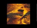 Incandescent Sky - Antartica