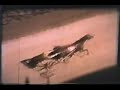 1968 Hambletonian 1968 Hambletonian