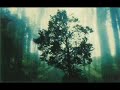 Wolfsheim - Über's Jahr