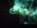 xbox 360 bioshock 2