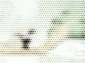 Animal I\'ve Become Mep Part (Edited)