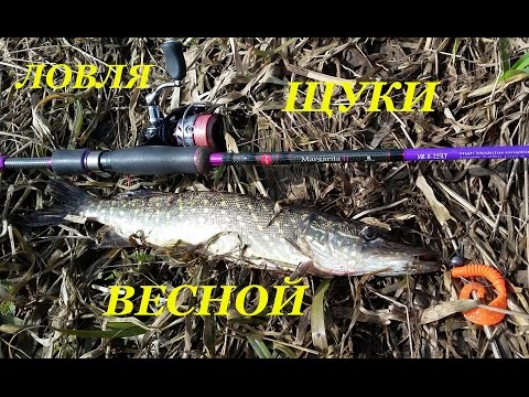 рыбалка на щуку снасти весной видео рыбалка на щуку снасти весной видео
