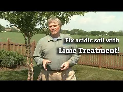 how to apply lime to a lawn