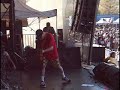 The Vandals 