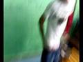 videos de bancomat der lazza