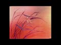 Black Moth Super Rainbow - Smile Heavy