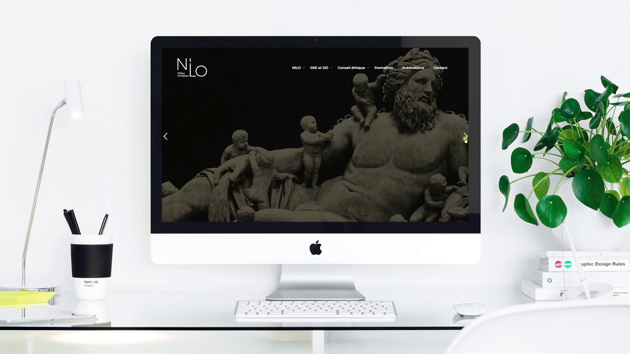Logotipo + Diseño web WordPress Nilo éthique stratégique