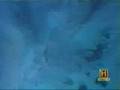 The Bimini Wall Part 1