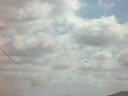 The Patriot Acrobatic Flight