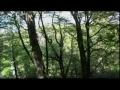 Blüchel & von Deylen  -   Gymnopedie No 1