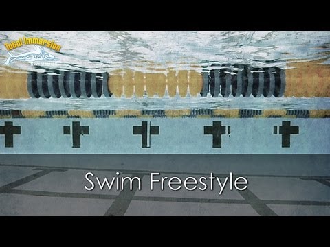 swimming - Improve your stroke efficiency while gaining more enjoyment in your swimming by taking a Total Immersion Swimming workshop. Workshops are offered across the ...