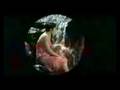  - MovieZen Video