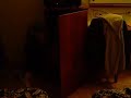 Ross in the Cupboard