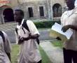 grenadian lucian, (St. Lucia)