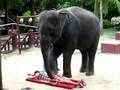 videos de A different kind of thai massage.