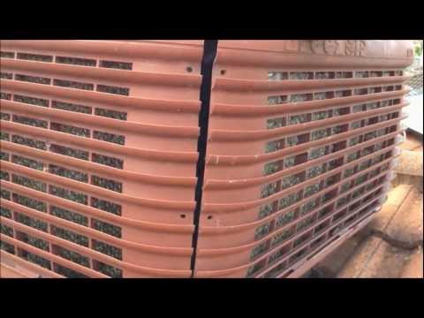 how to service brivis evaporative cooling