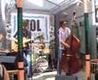 Jesse Garon & The Greyhounds