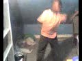 [ LeVis ] ses d�buts...