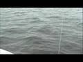 Fishing the Arrowhead: Lake Vermilion