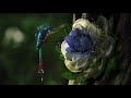 One short but incredible commercial about the new LeD TV from SAMSUNG Enjoy HD video