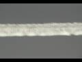 Another Comparison: Chemtrail Versus Contrail