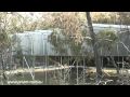 Large Parrot Breeding Flights: Priam Psittaculture Centre (PPC) priam.com.au