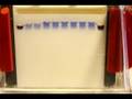 SDS-PAGE