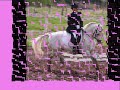 Casnewydd Showman