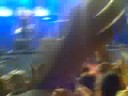 Meerlive 2008 was great !