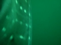 Shark Whale - Tiburon Ballena - Coiba Panama Santa Catalina Shark Whale - Tiburon Ballena - Coiba Panama Santa Catalina