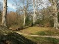Video Postcard. EPPING FOREST. - pc08.