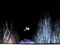 Dance of the Dryads