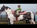 Mahabaleshwar,Rashmin,Abhani
