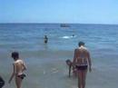 Plage le 9.o7.o8