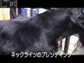 ゆづ君のトリミングビデオvol.2